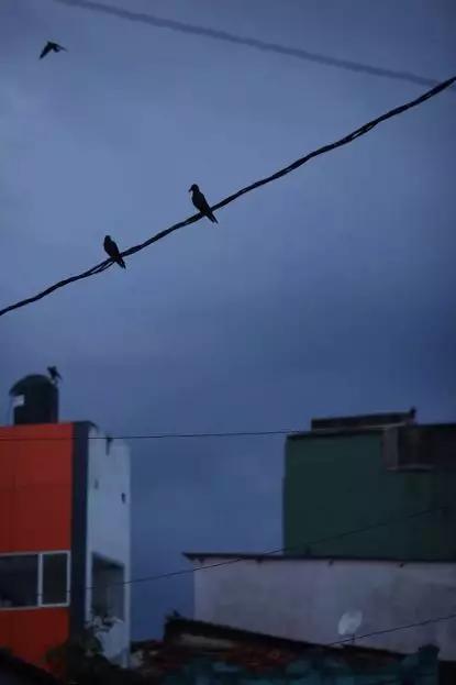 假期撒手没的戏精同事们，竟然在我挤春运的时候吹海风？？（下）