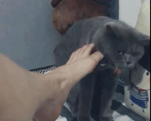 休闲运动鞋便宜没好货?硬核测试美国名牌、淘宝小米有品百元爆款