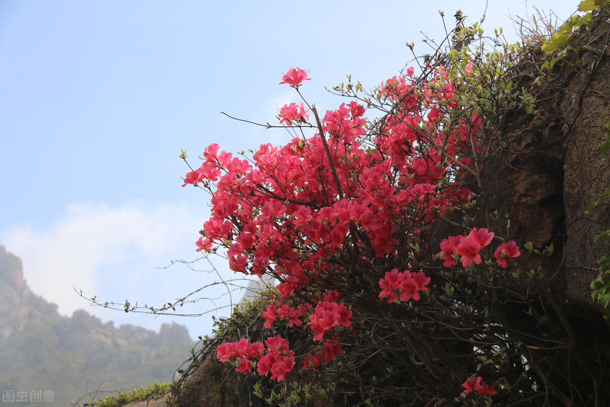 《春山奇案》49昧良心贪财当杀手遇魔鬼恶报命难逃