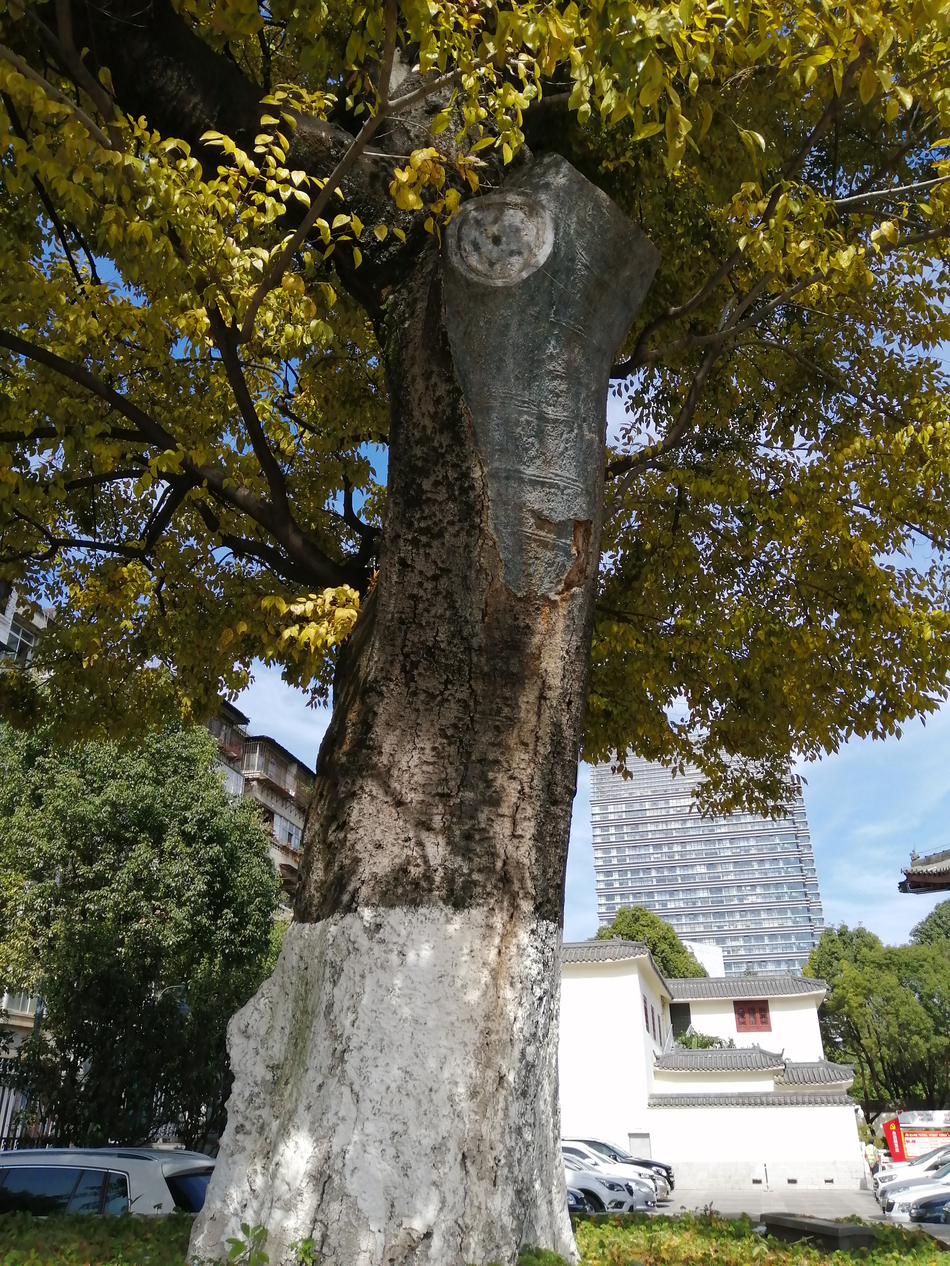 云南沐王府的前世今生,沐王府古滇国宝藏