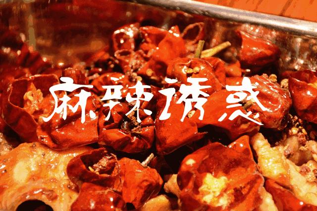 齐祺渔锅被举报,齐祺渔锅99元套餐新乡