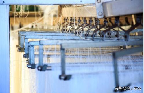 烟台十大农产品,烟台具有特色的农产品