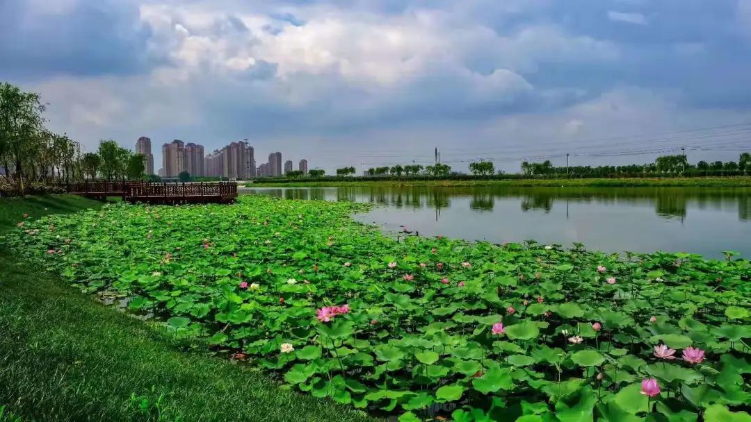 津南区打架,津南区打架视频