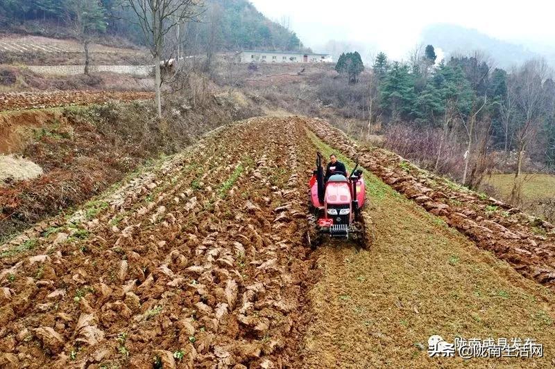 我叫成县，这是我2019年的自拍照