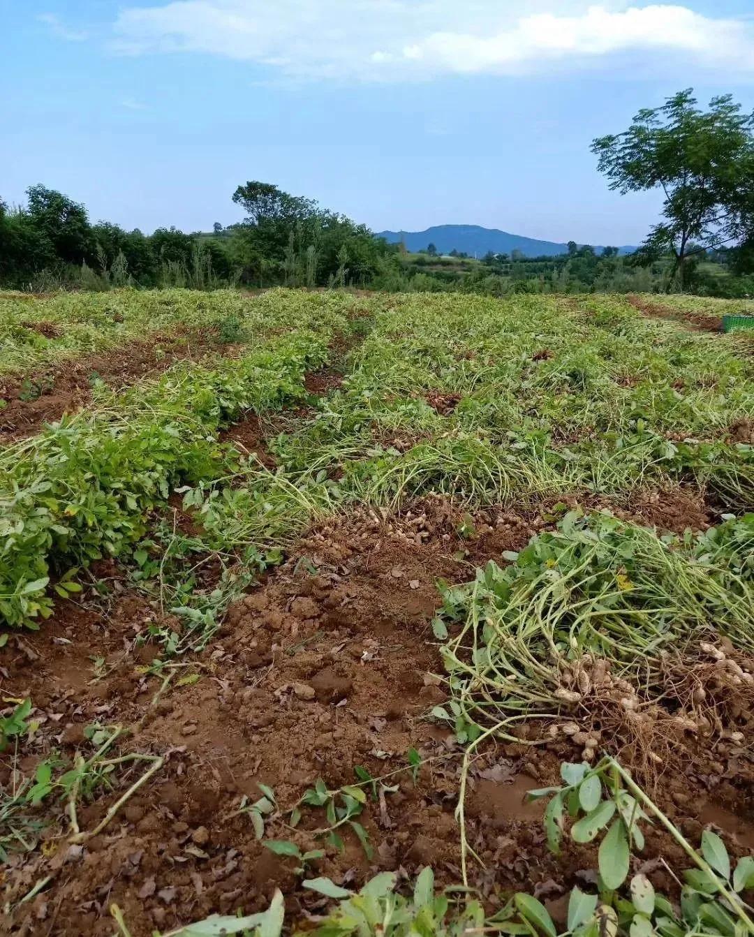 紧急提醒这些人务必第一时间就诊,紧急通知全员归队