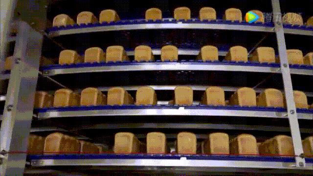 凭这一点，优秀工厂的面包就赢在了起跑线上