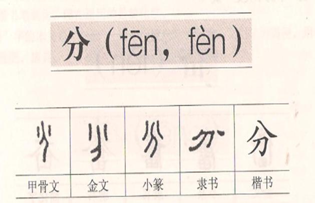 一年级语文下册端午粽笔记完整版,一年级语文下册第十课端午粽重点