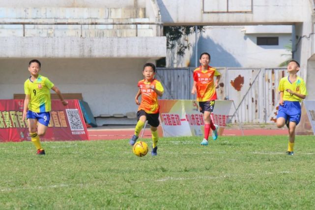 中国的足球青训vs校园足球,足球青训和校园足球