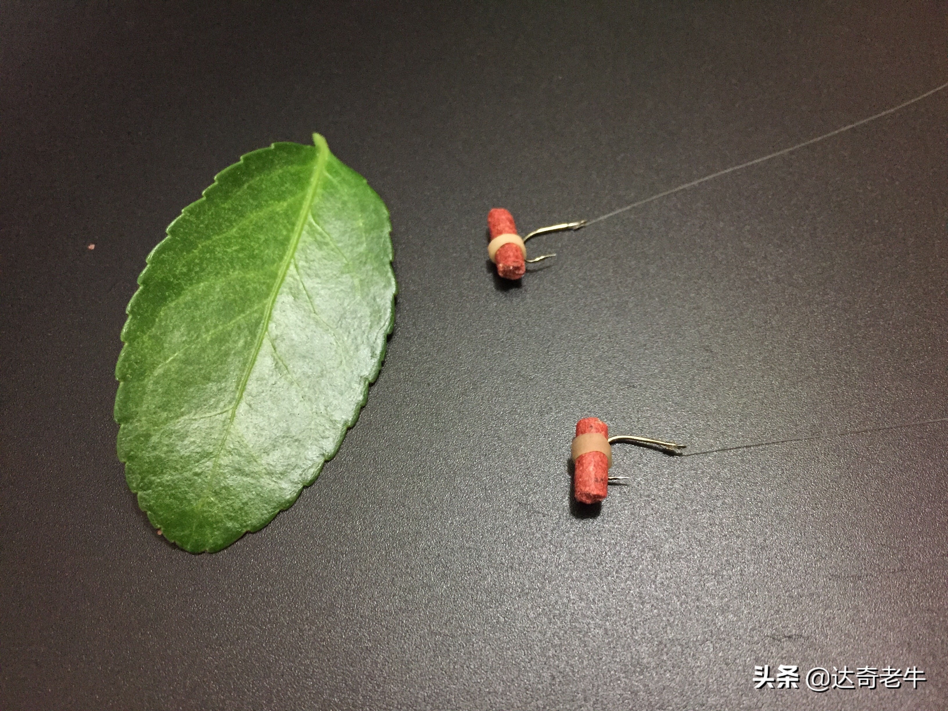 红虫颗粒钓鲤鱼用法,红虫颗粒钓鲫鱼效果怎么样