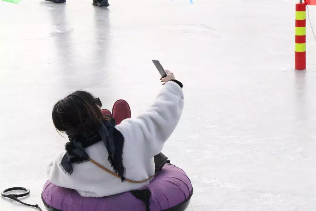 美美美！海淀这个地儿，万株兰花惊艳来袭，你招架的住吗？