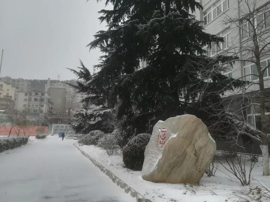 辽宁附属高级中学,辽宁师范大学附属中学2017