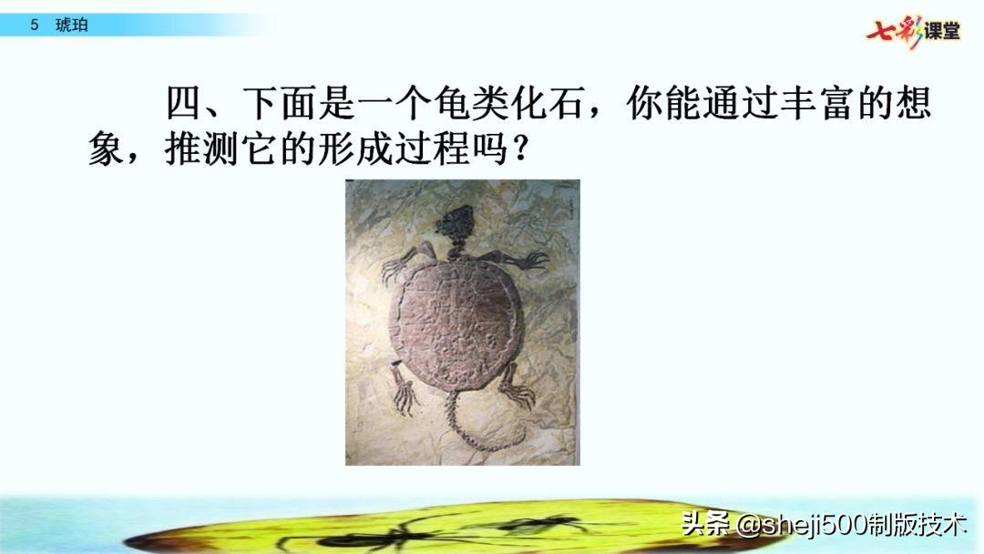 语文书四年级下册第5课琥珀预习,四年级下册第5课琥珀的思维导图