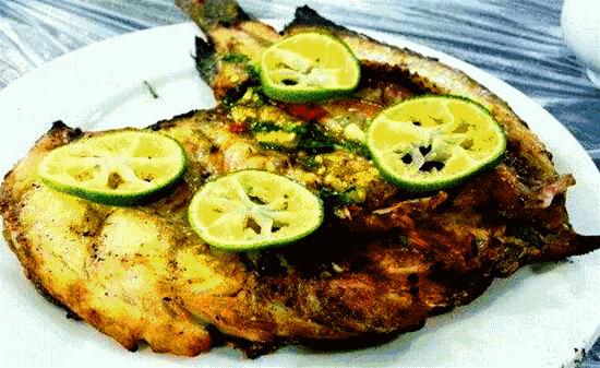 西双版纳风景之旅自由行旅游攻略,邂逅雨林西双版纳秘境之旅