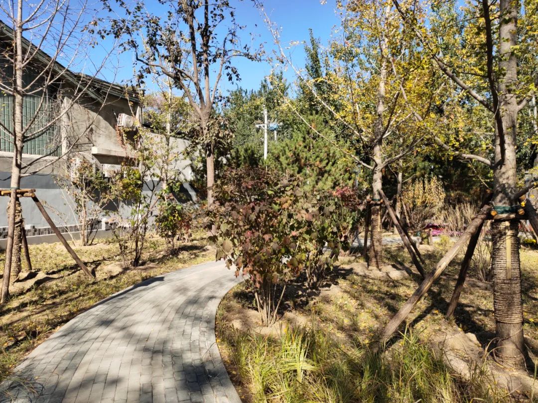 天坛公园周边,天坛旁边的公园