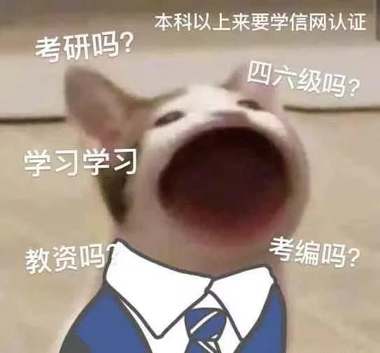 我*载下**了哈利波特的手游，结果却被里面的内卷氛围笑到满地找头..