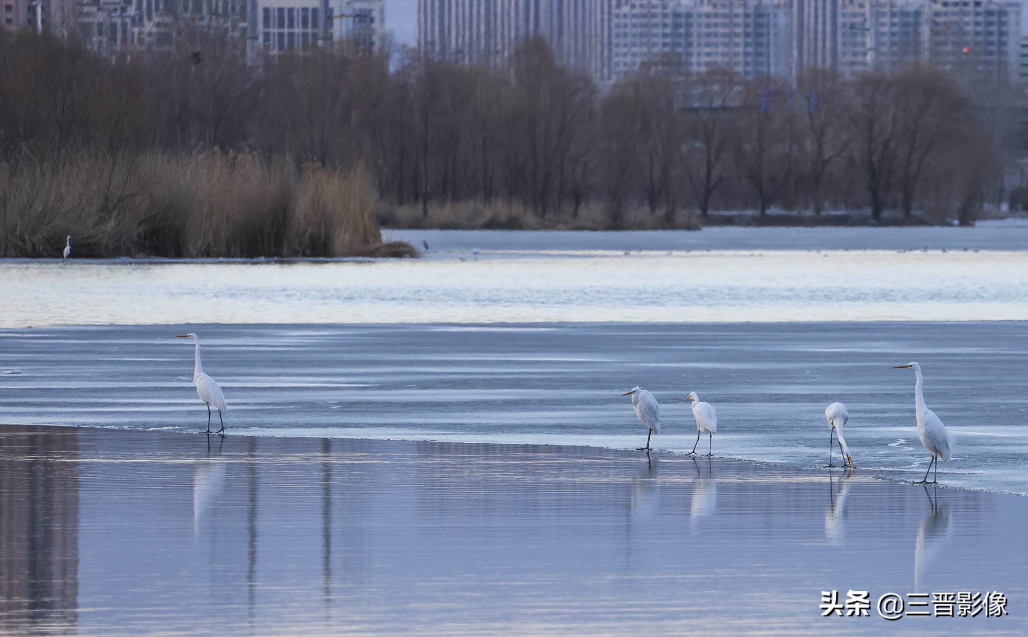 佳能r5转接佳能ef50l拍摄的作品,佳能r5转接ef镜头感觉没有5d4清晰