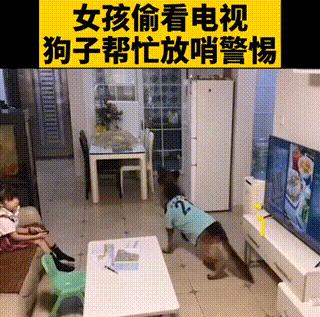 妈妈训孩子狗子护孩子,家长教育孩子对待宠物