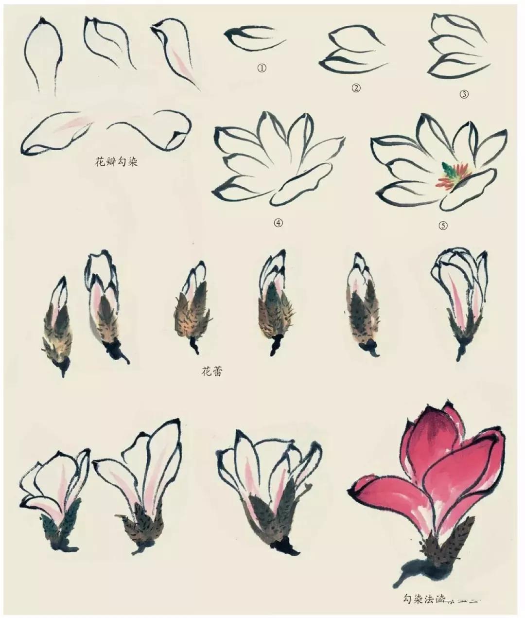 国画春景花鸟图,正是春天好风景