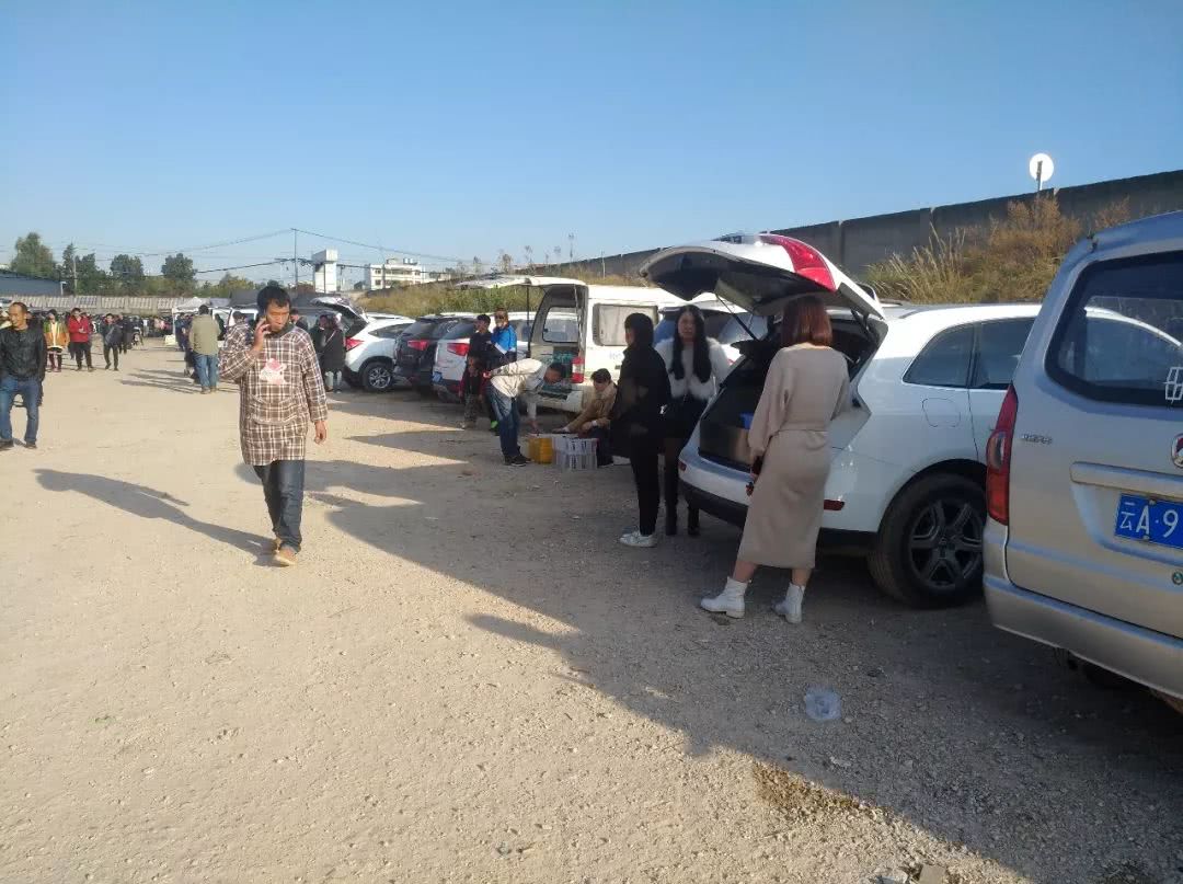 出售巴哥犬350元,卖巴哥幼犬