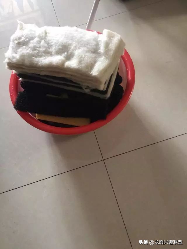 垃圾桶旁边的四方鱼缸,捡回去养了一缸金鱼,别说还挺不错