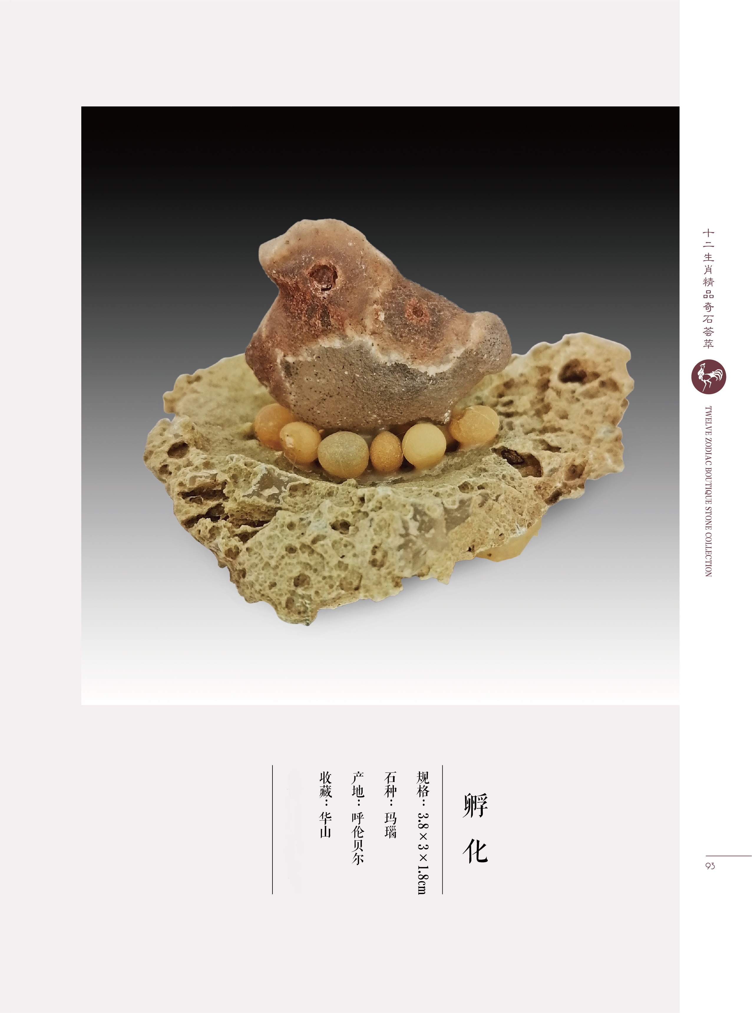 难道猴子真是石头变的?