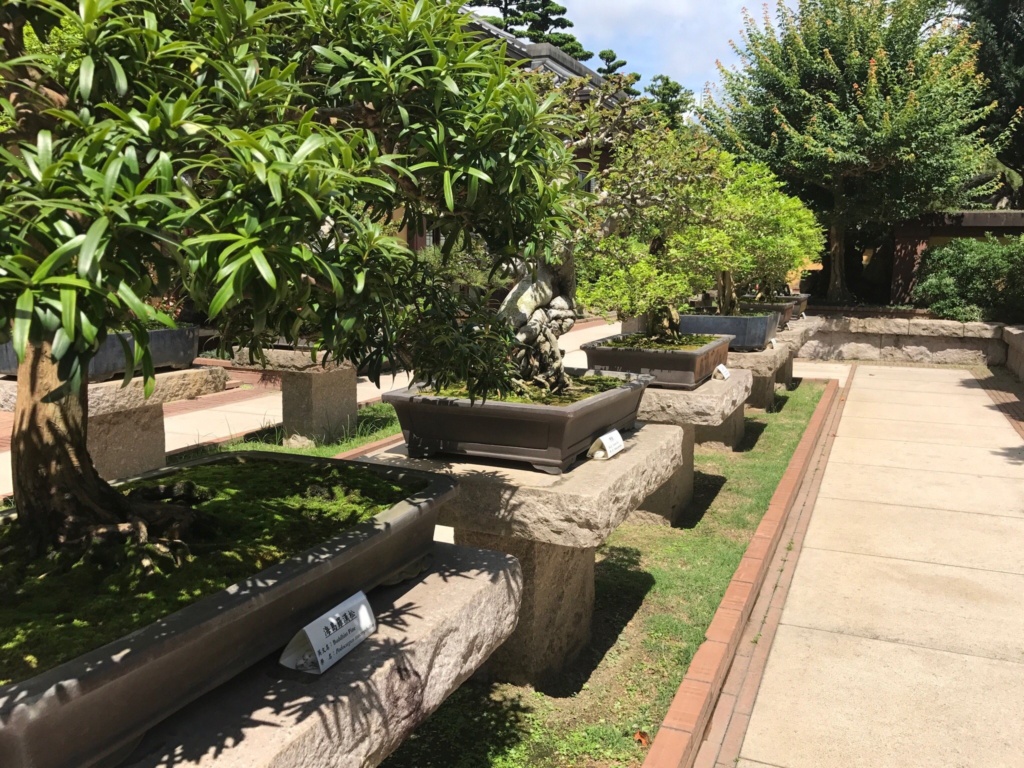 香港志莲净苑地图,香港志莲净苑好玩吗