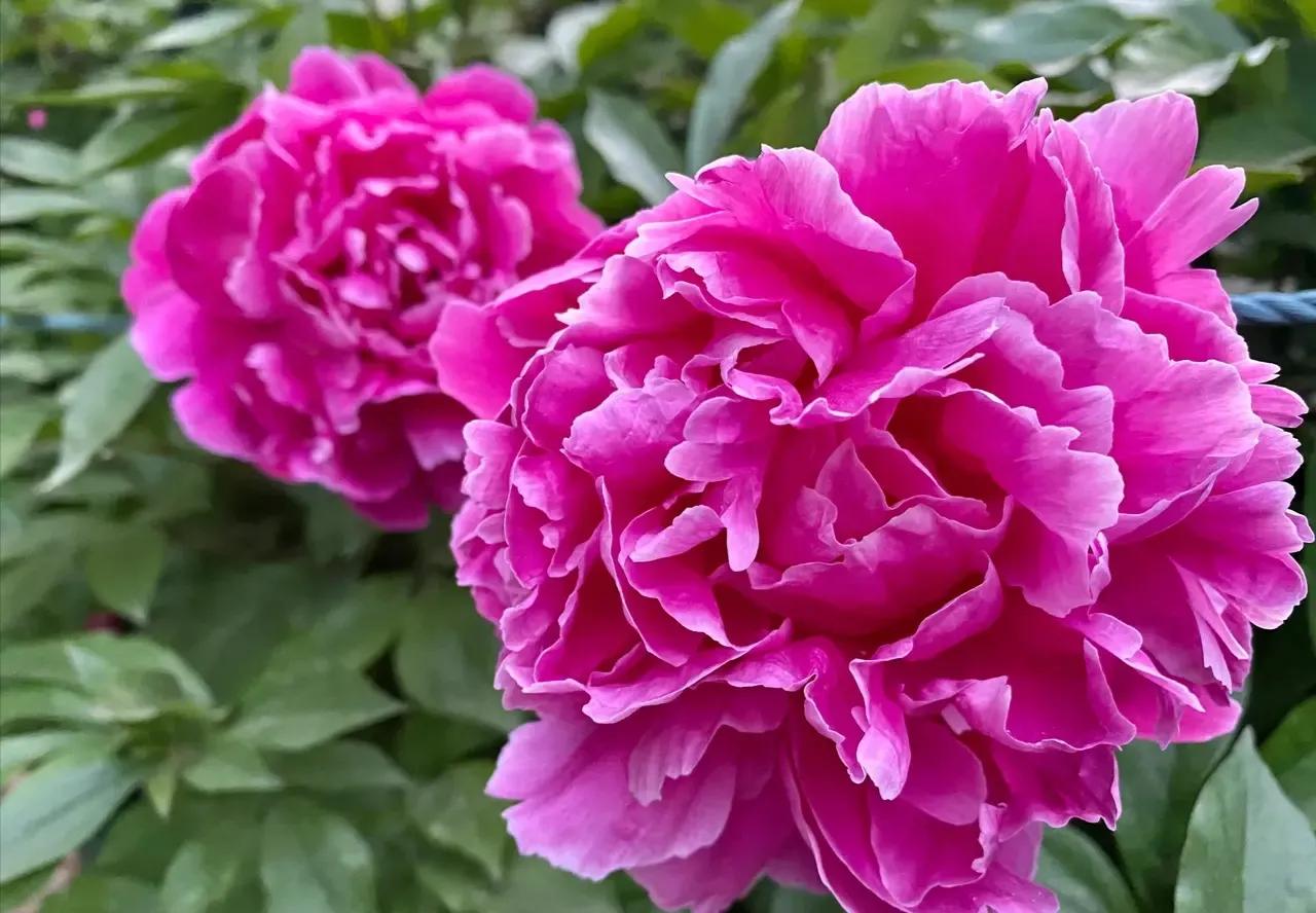 太极实业发展现状,太极实业和太极集团