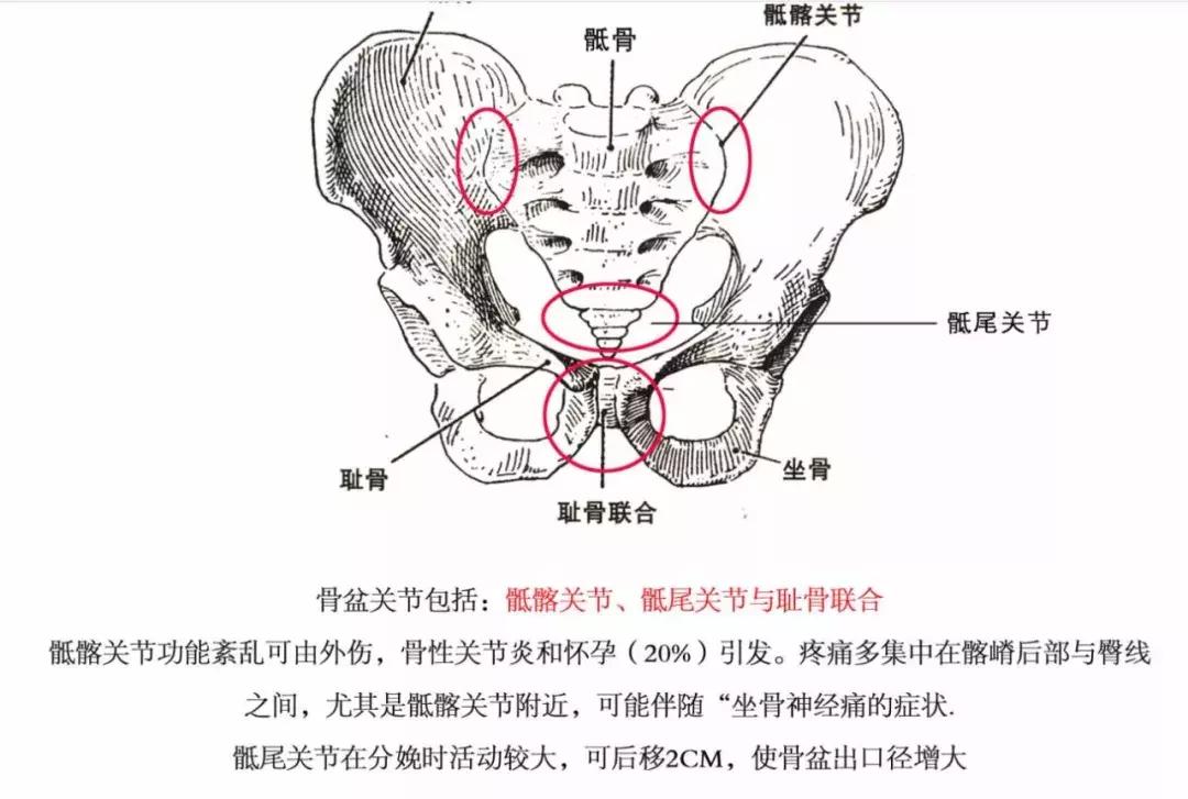 坐月子到底能不能洗头,剖腹产坐月子能洗头吗