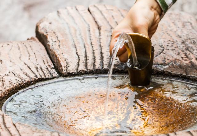 寄生虫放大1000倍你还敢吃吗,寄生虫是如何控制宿主大脑的