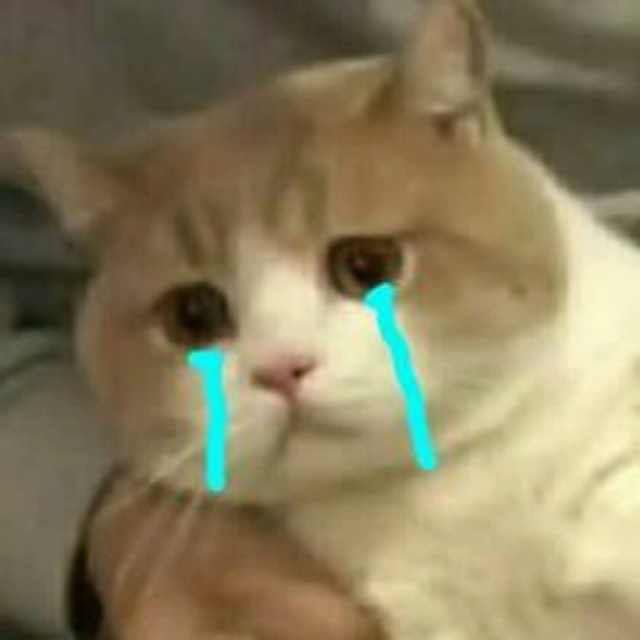 我咋办啊表情包,表情包我能怎么办