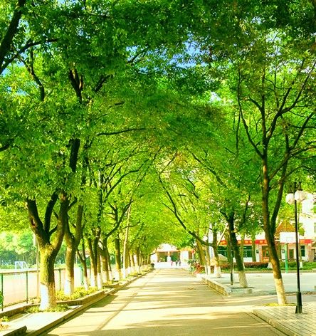 湖北省百强中学排名,最新湖北省高中100强