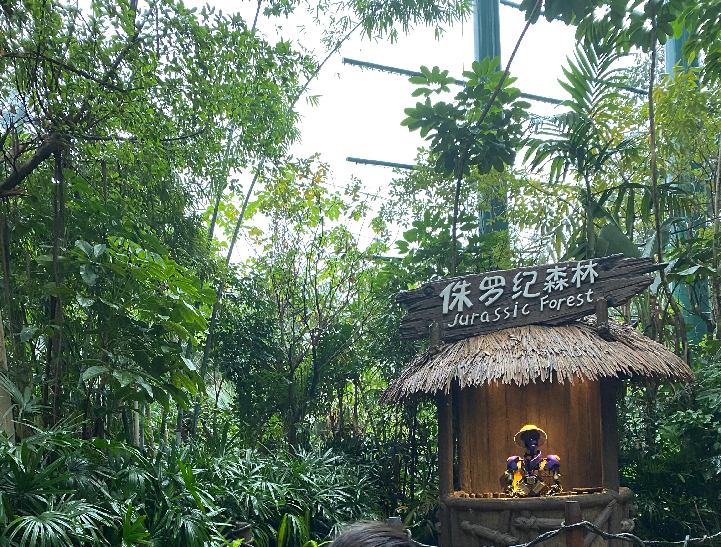 长隆野生动物园门票儿童免票吗,长隆野生动物园自驾游