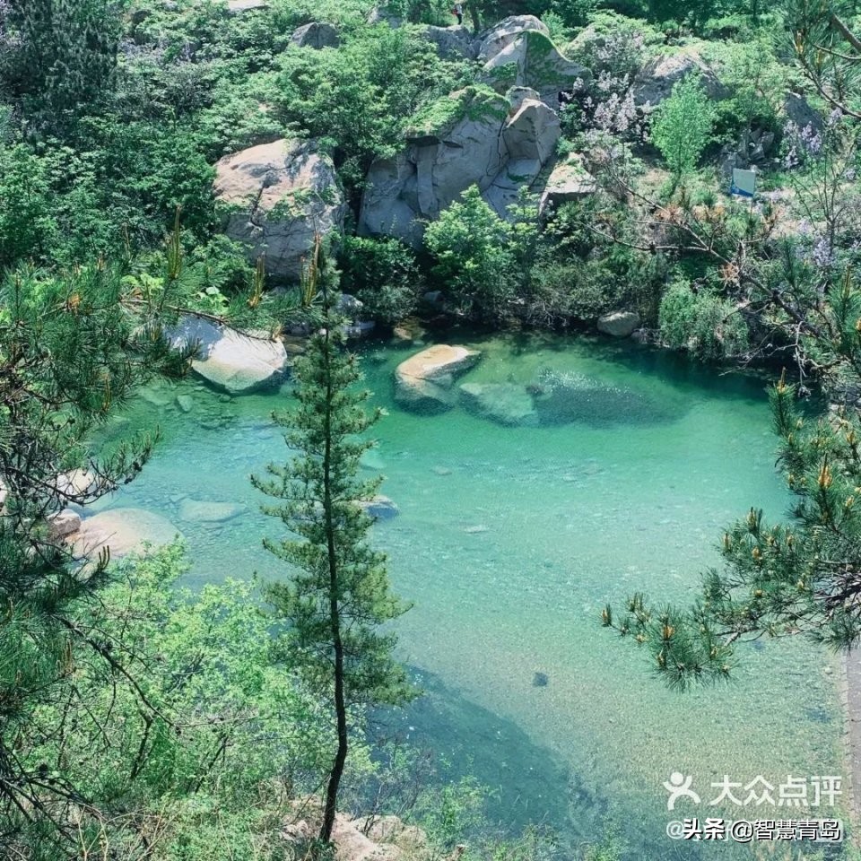 青岛威海烟台夏天哪个凉快,青岛夏季游玩攻略大全