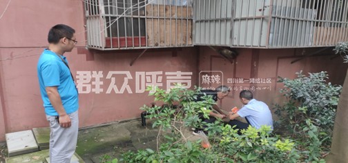 小区发生蛇患如何治理,成都一小区蛇患严重