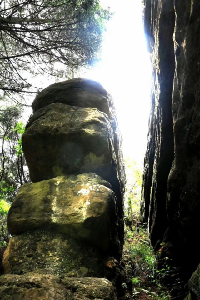 南部县我的故乡,我的家乡南部县