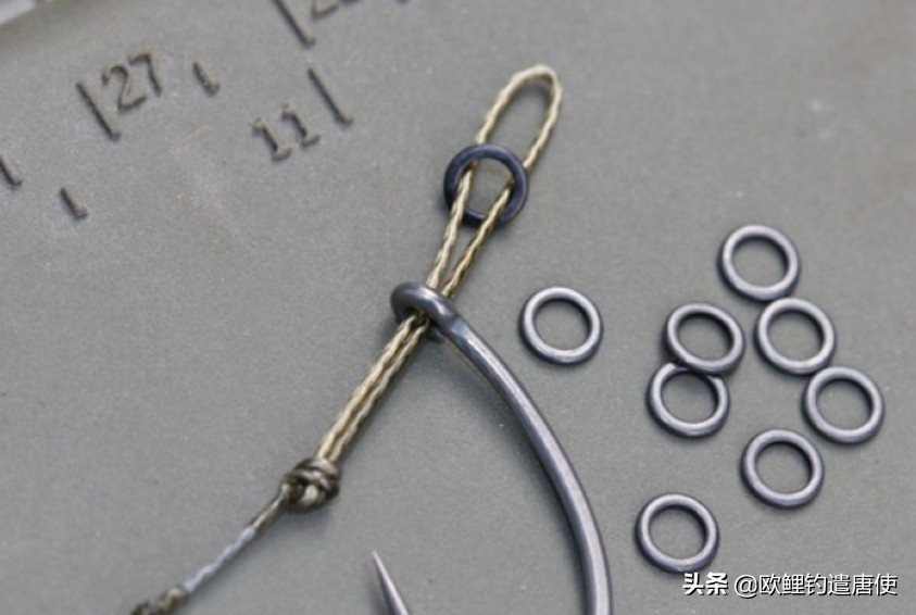 为什么鲤鱼比鲫鱼难钓,为什么鲫鱼这么难咬钩