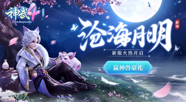 神武4电脑版五开最佳组合,神武4玩力五庄还是气五庄