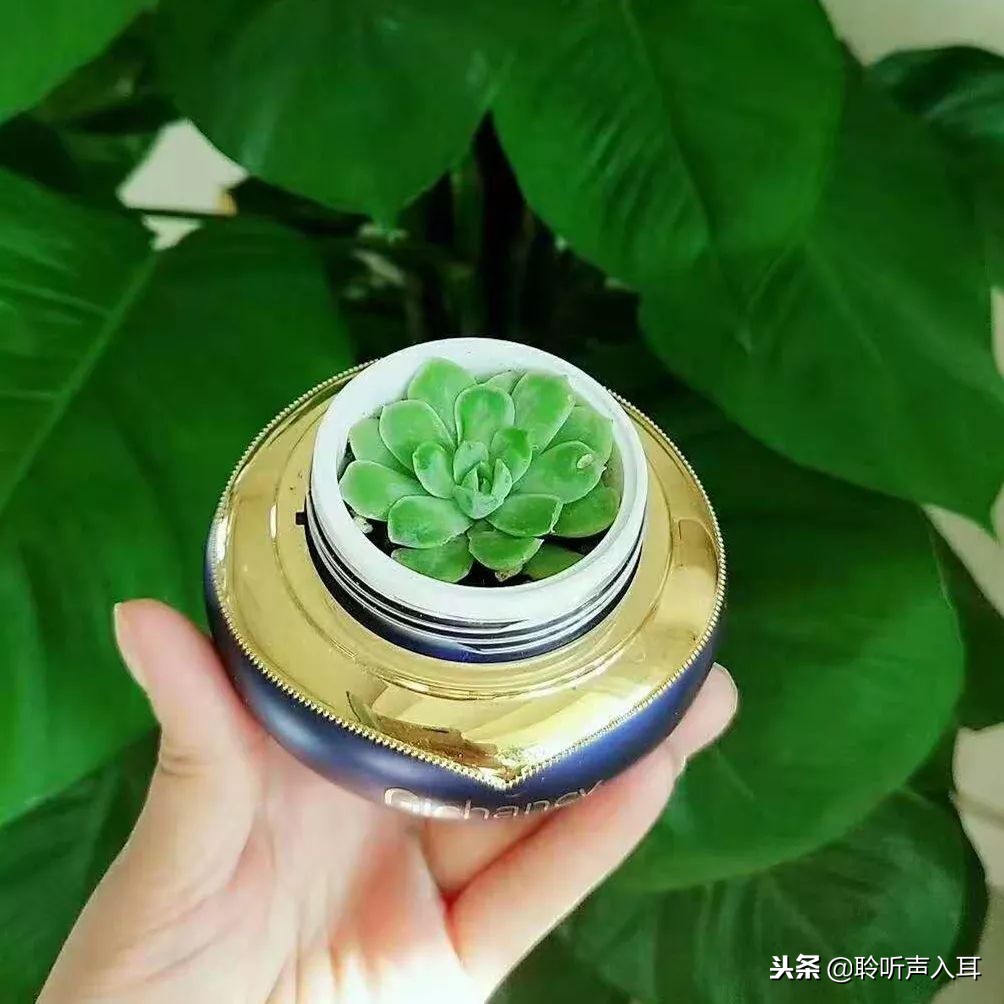 保护护肤,如何保护专柜护肤品套盒不脏