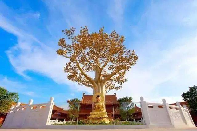 河源巴伐利亚途家度假酒店,河源巴伐利亚途家酒店