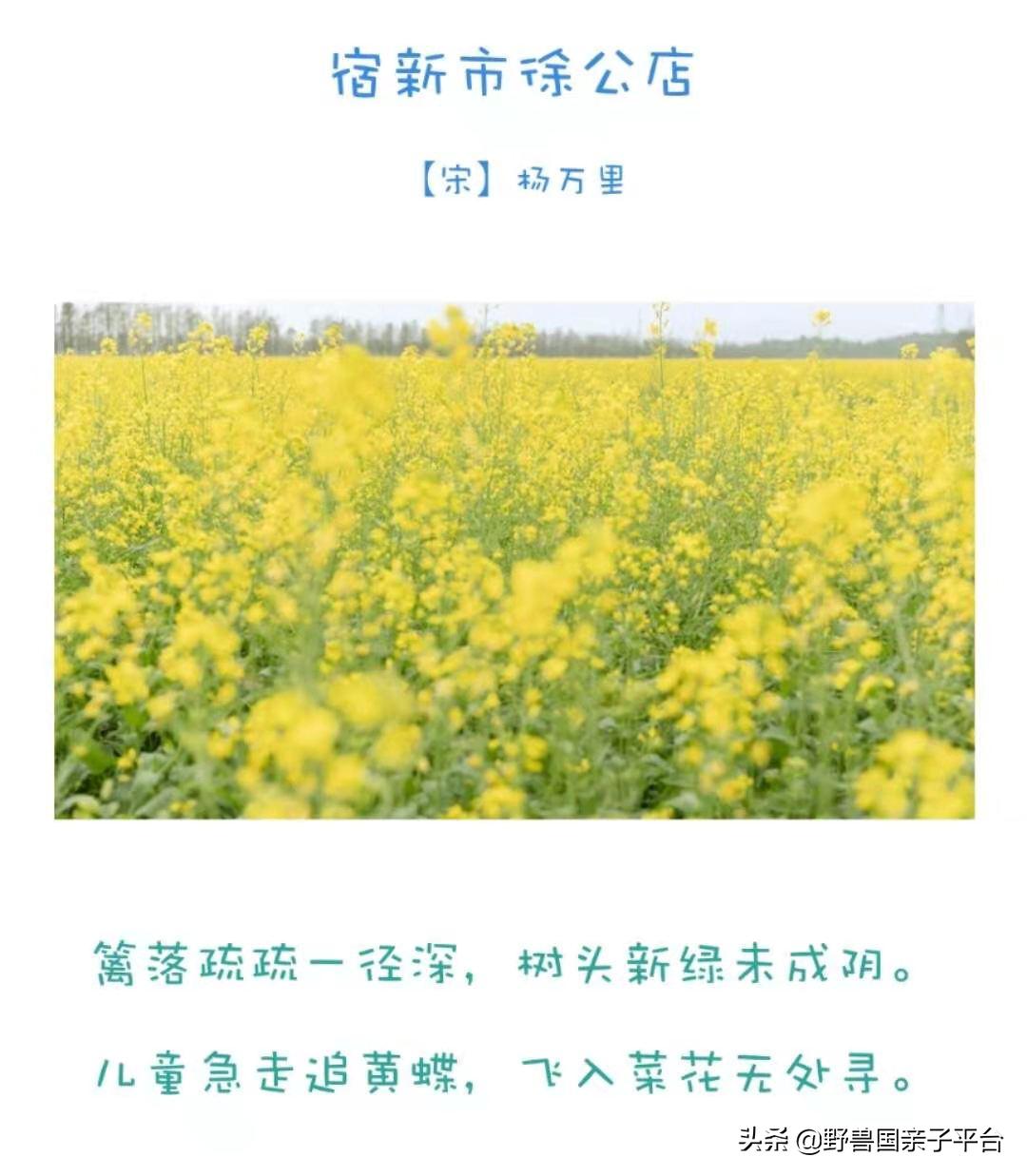 春天的花真的很美丽让人向往,春天的花也太美了