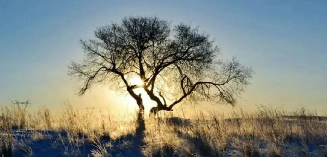 指数基金也是买的股票吗,指数基金和股票基金哪个收益高