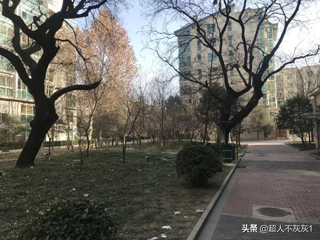 北京西城价值千万学区房,北京房价top10都在西城和海淀