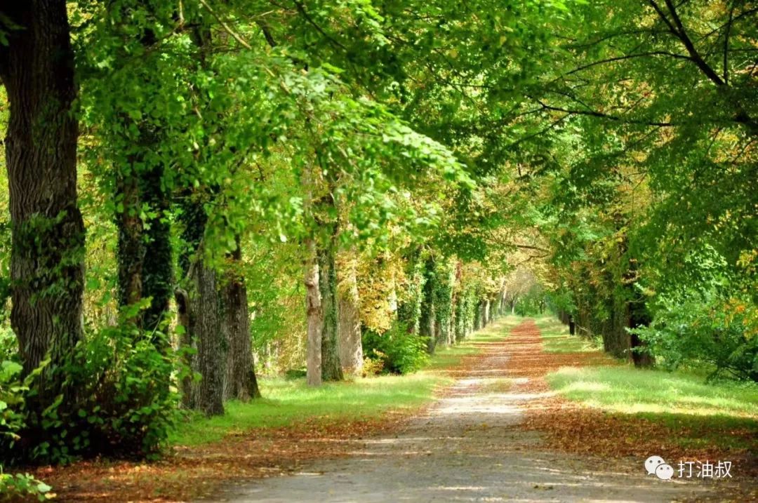 卢瓦尔河谷古堡之旅 (法国卢瓦尔河谷后花园)