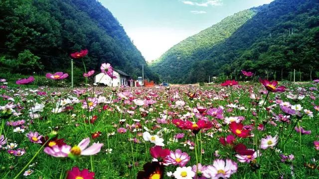 陕西未来5年搬迁村名单,陕西最新农村规划名单