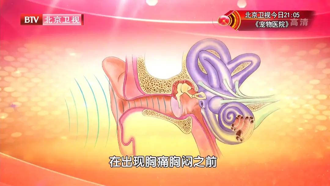 耳鸣治疗不要忽视听力下降,耳鸣患者需注意的小细节