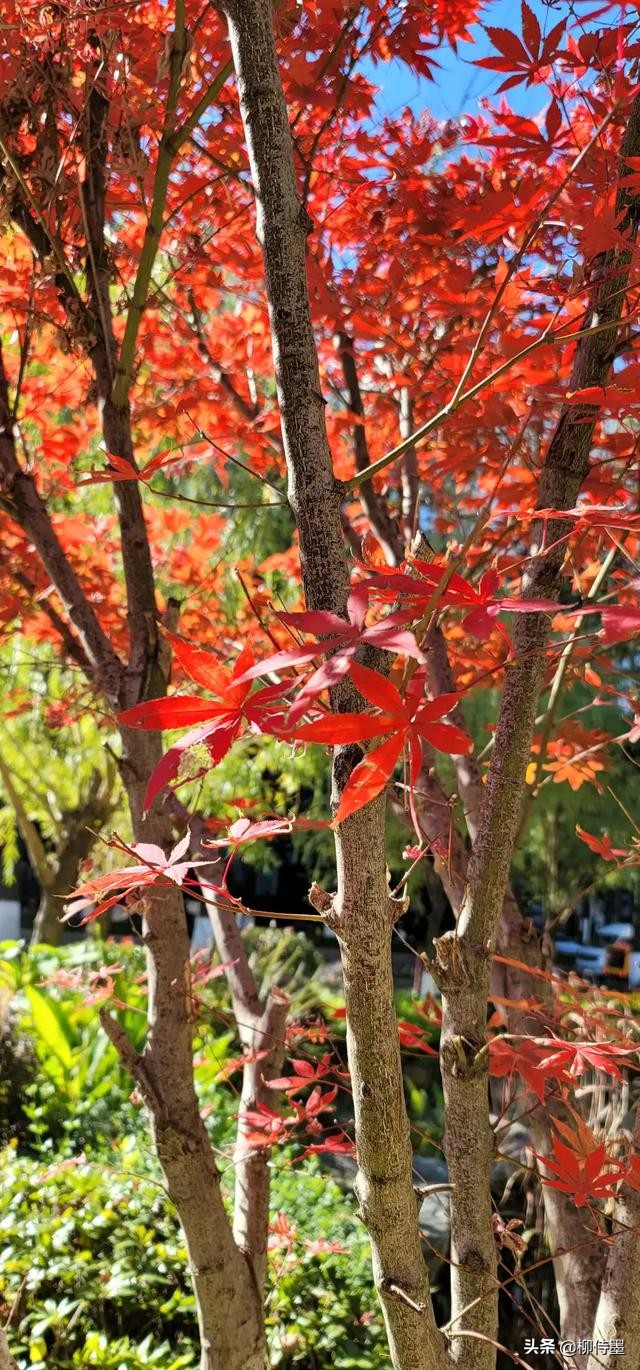 摄影新手如何拍摄照片教程,新手学习摄影入门第一步