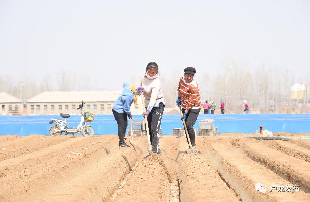 刘振海安阳,刘振海莒县