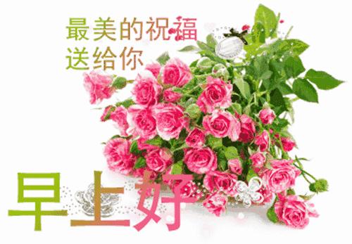 好看的早上好问候语唯美图片,最新早上好的问候美句图片