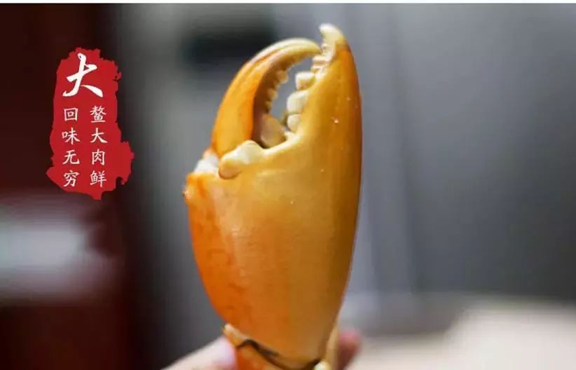 《新农》59期｜养青蟹大学生变村小二，临高95后别样“返乡路”