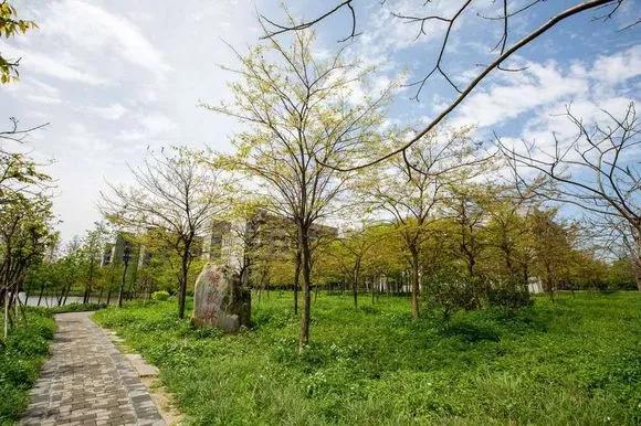 学考热门学校,学考热门专业院校